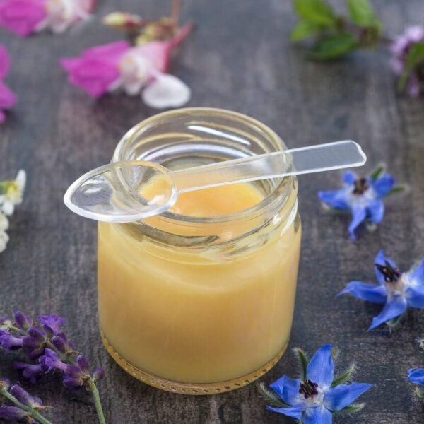 Gelée royale 25g